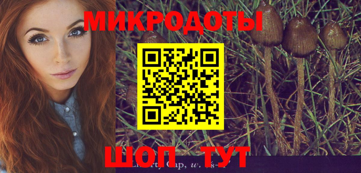 Заринск  Галлюциногенные грибы Magic Shrooms  Вход с VPN 